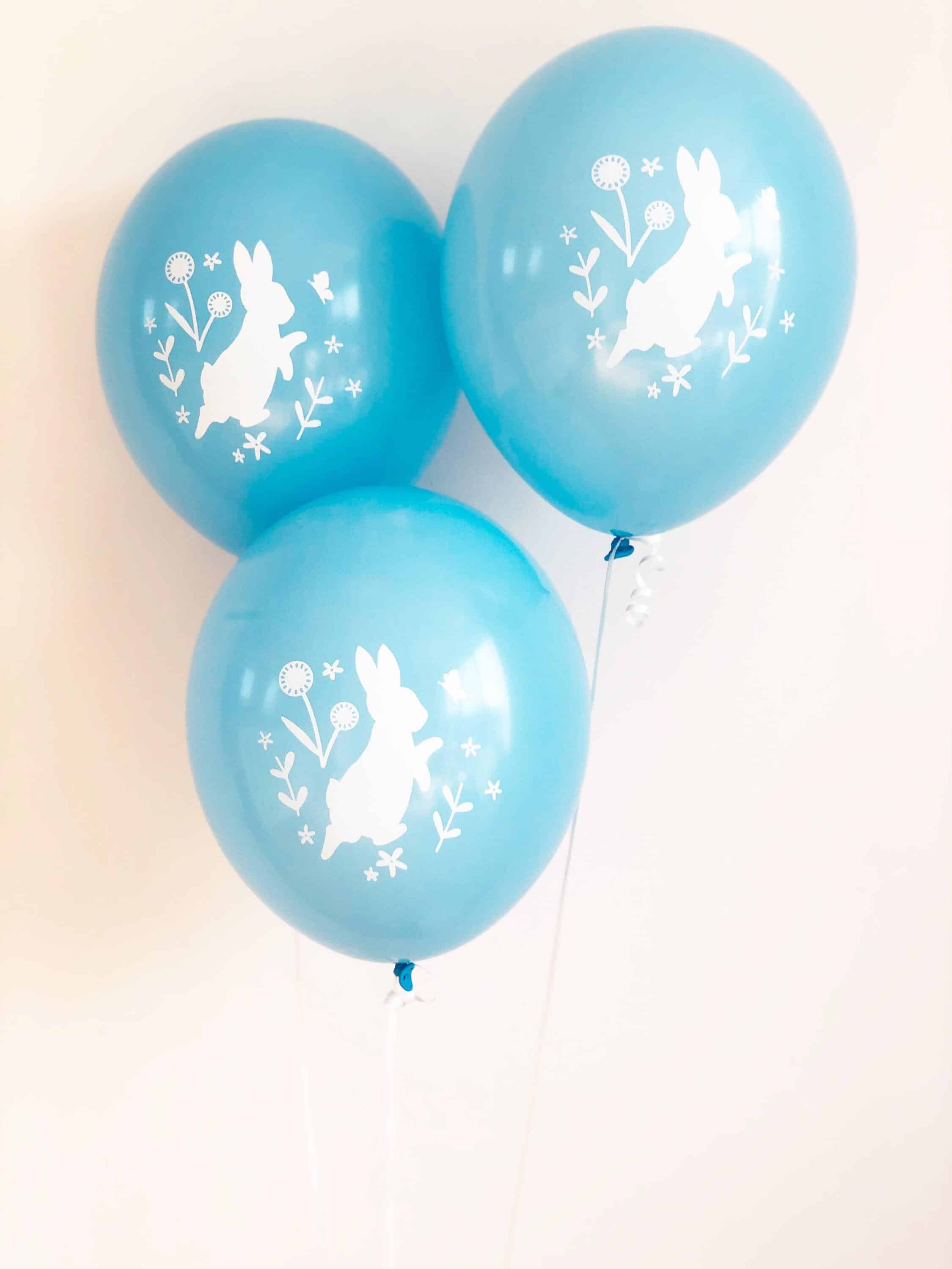 Rabbit Balloons Rabbit Balloons