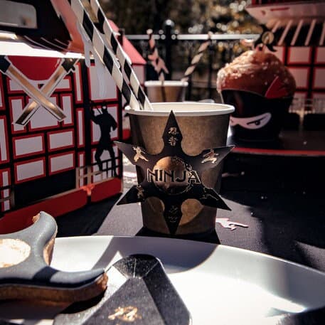 ninja plates