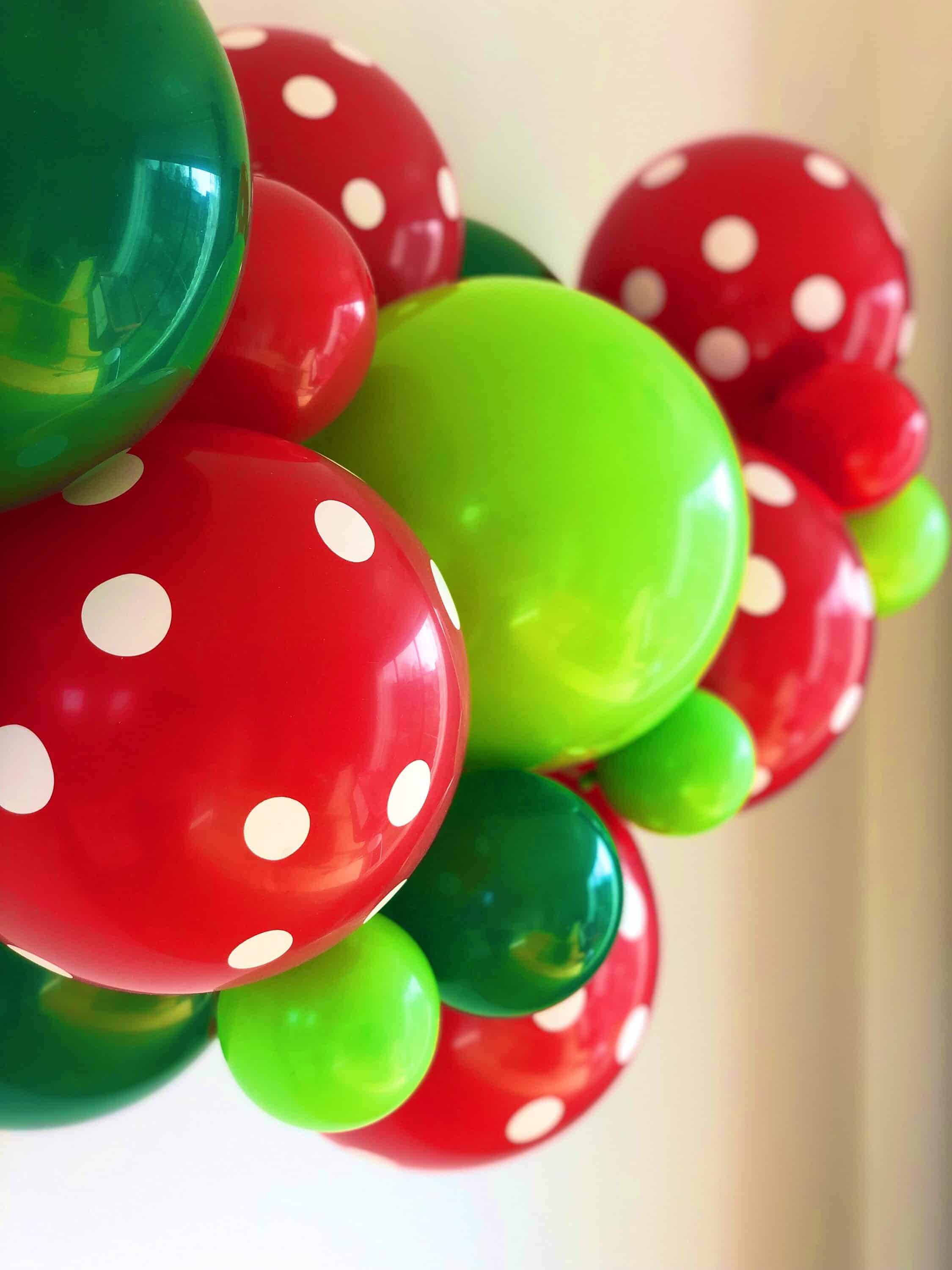 Balloon Garland Balloon Garland