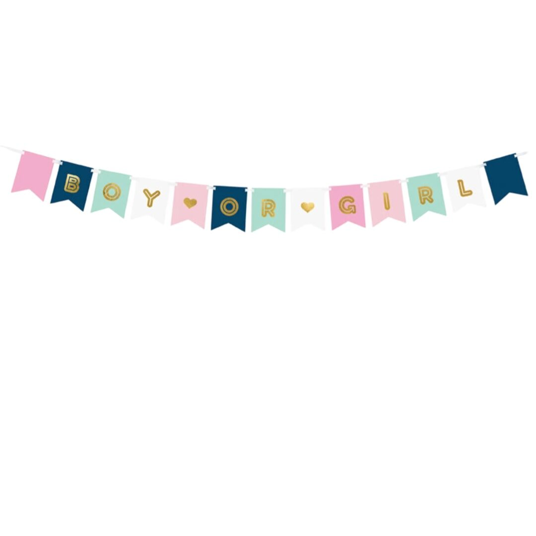 Boy or Girl Bunting Banner
