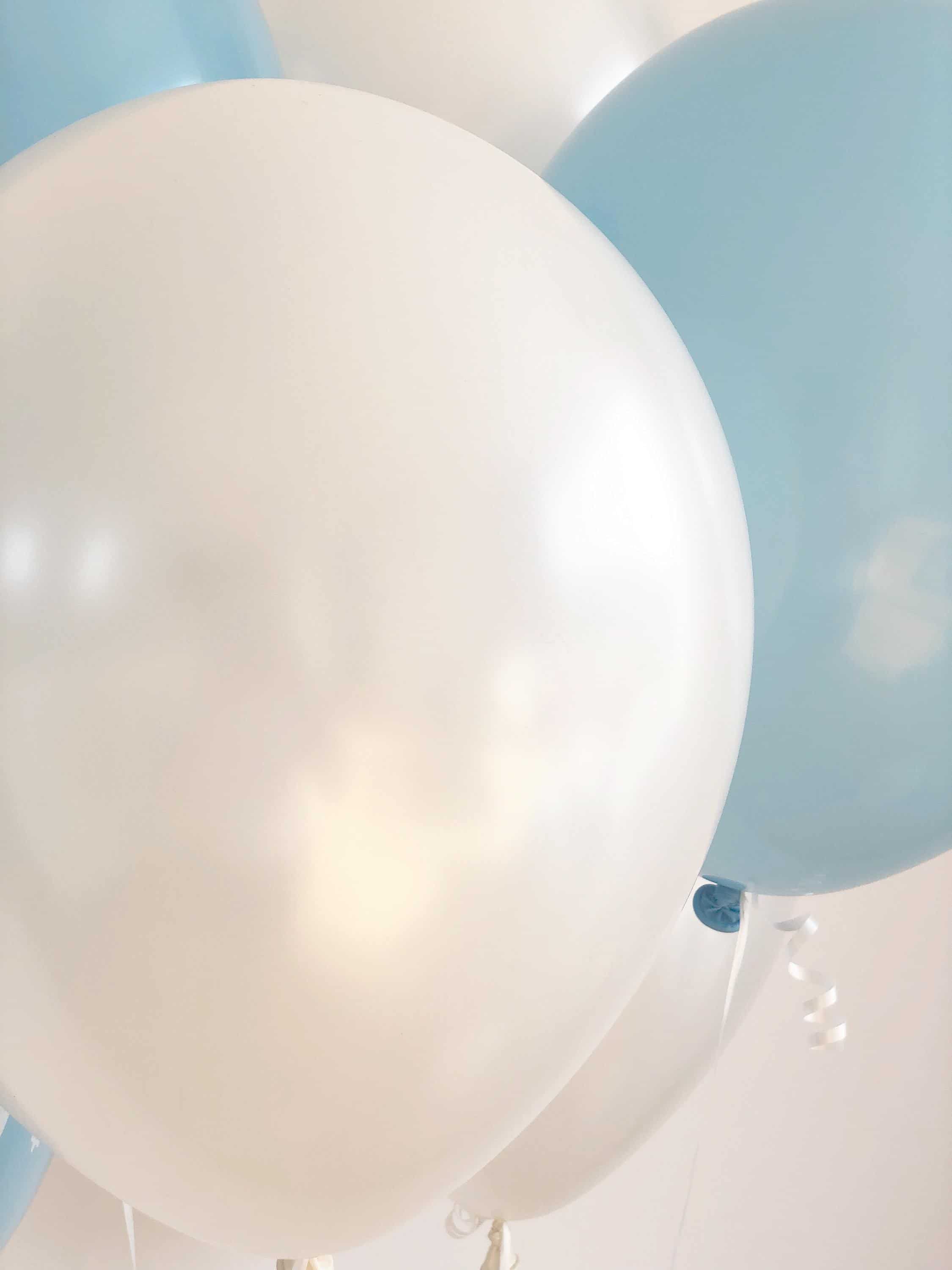 Bunny Blue Balloon Latex Balloons