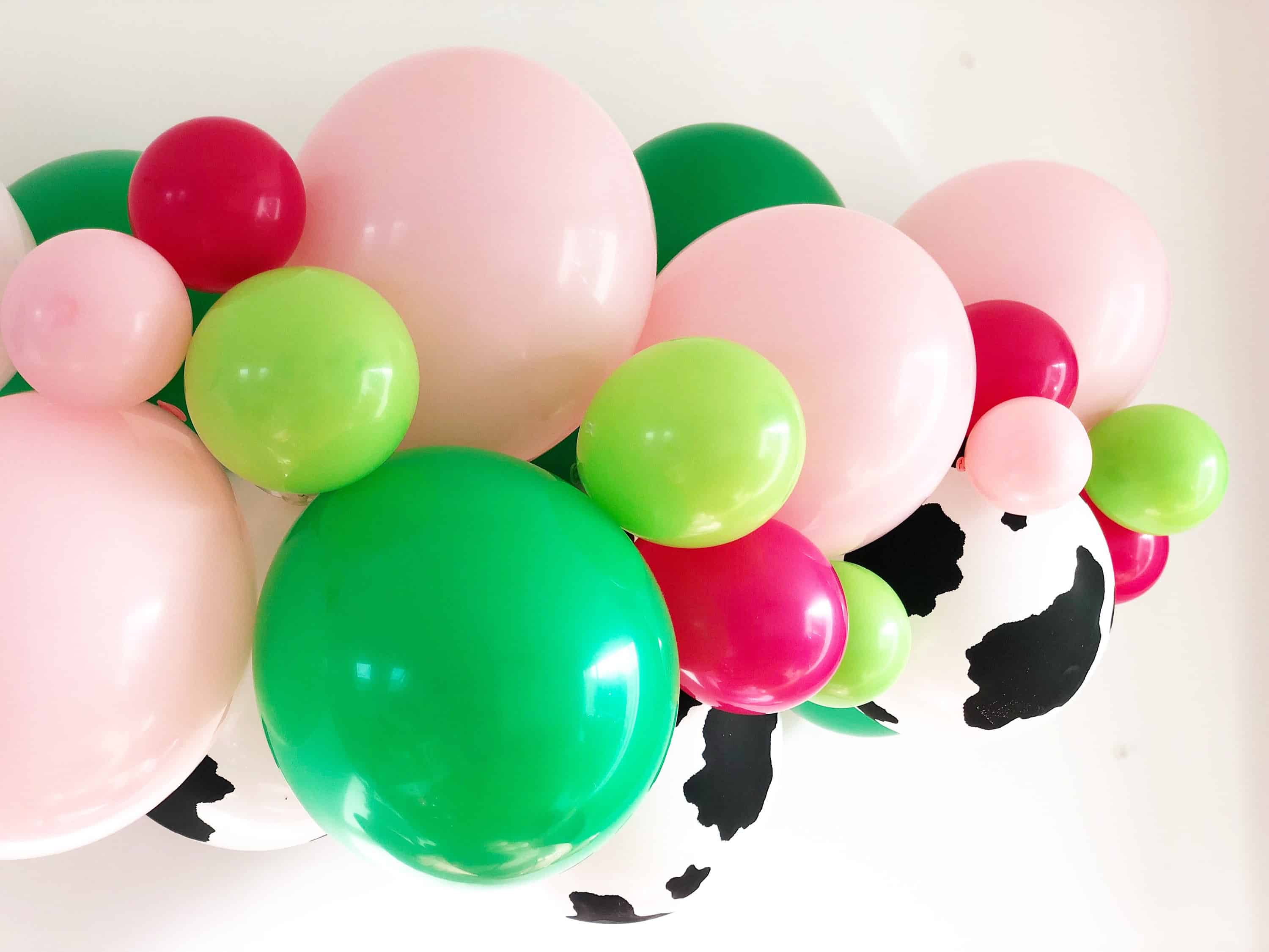 Farm Balloon Garland Farm Balloon Garland