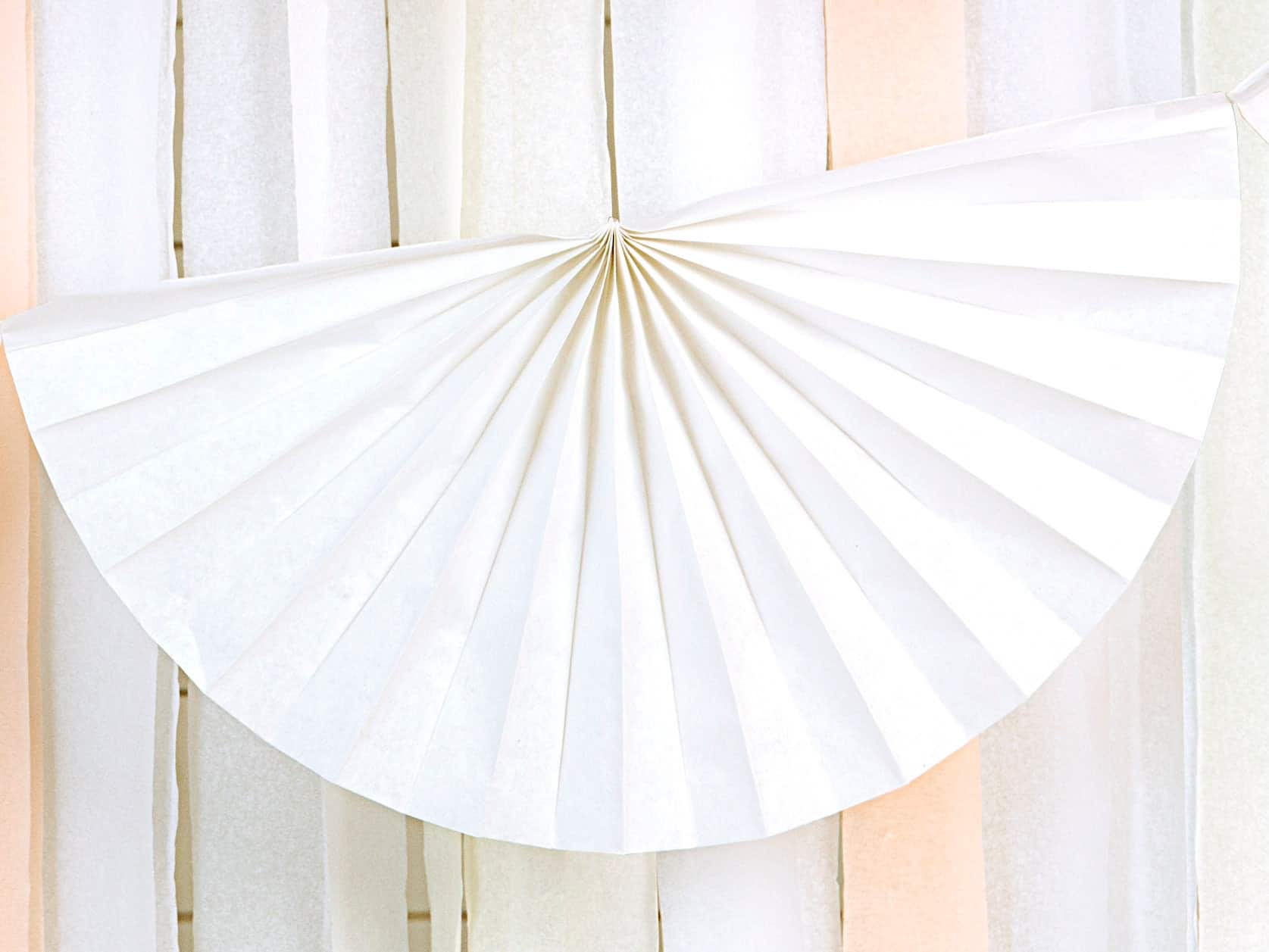 Pink and white Paper Fan.jpg White Paper Fan