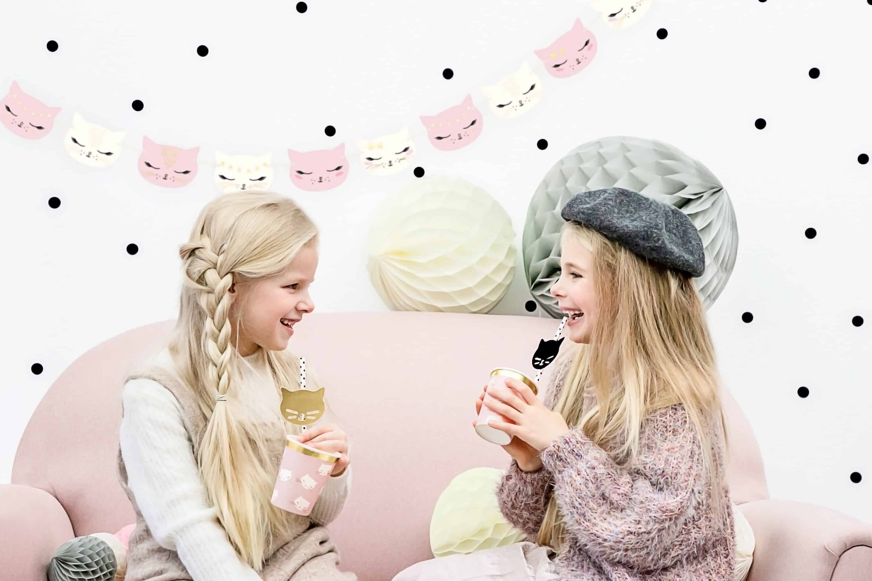 Cat Theme Party Decorations