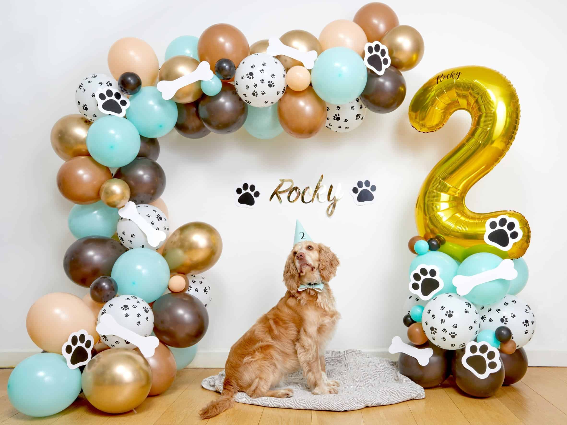 Dog's Birthday Balloon Arch