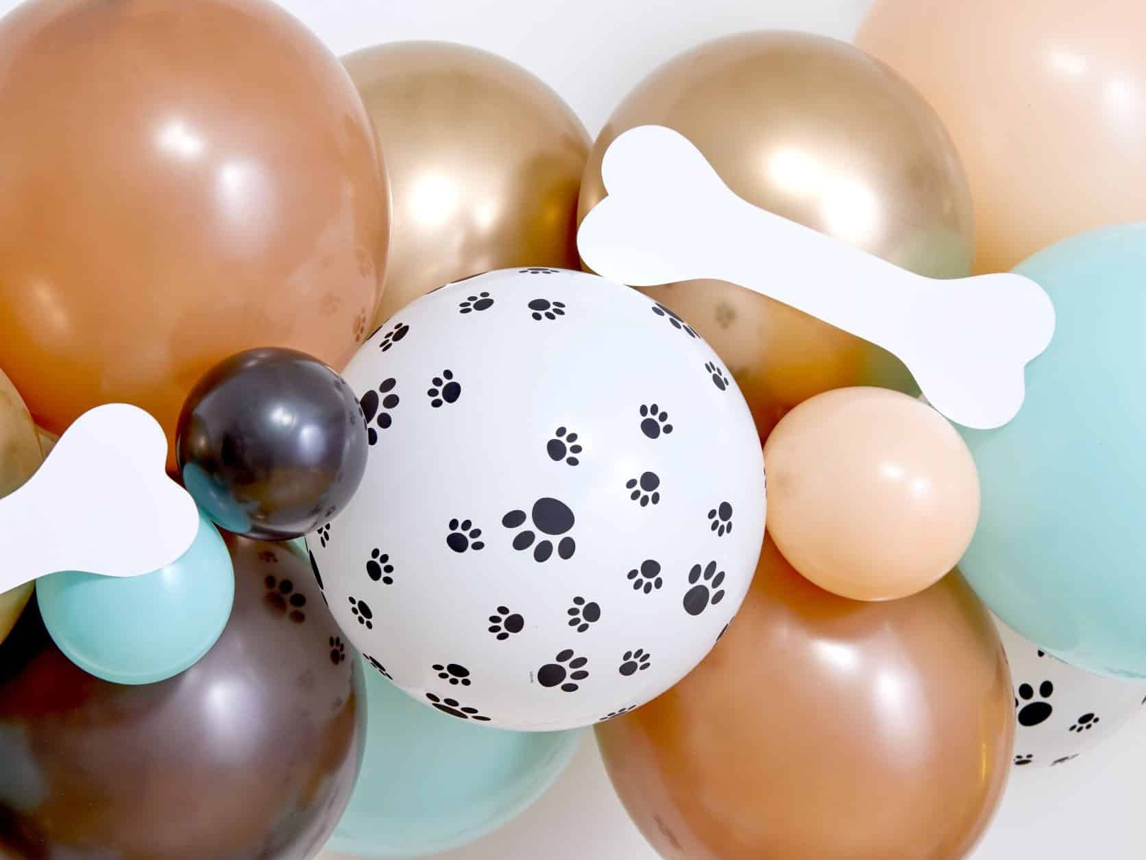 Dog's Birthday Balloon Arch Dog's Birthday Balloon Arch