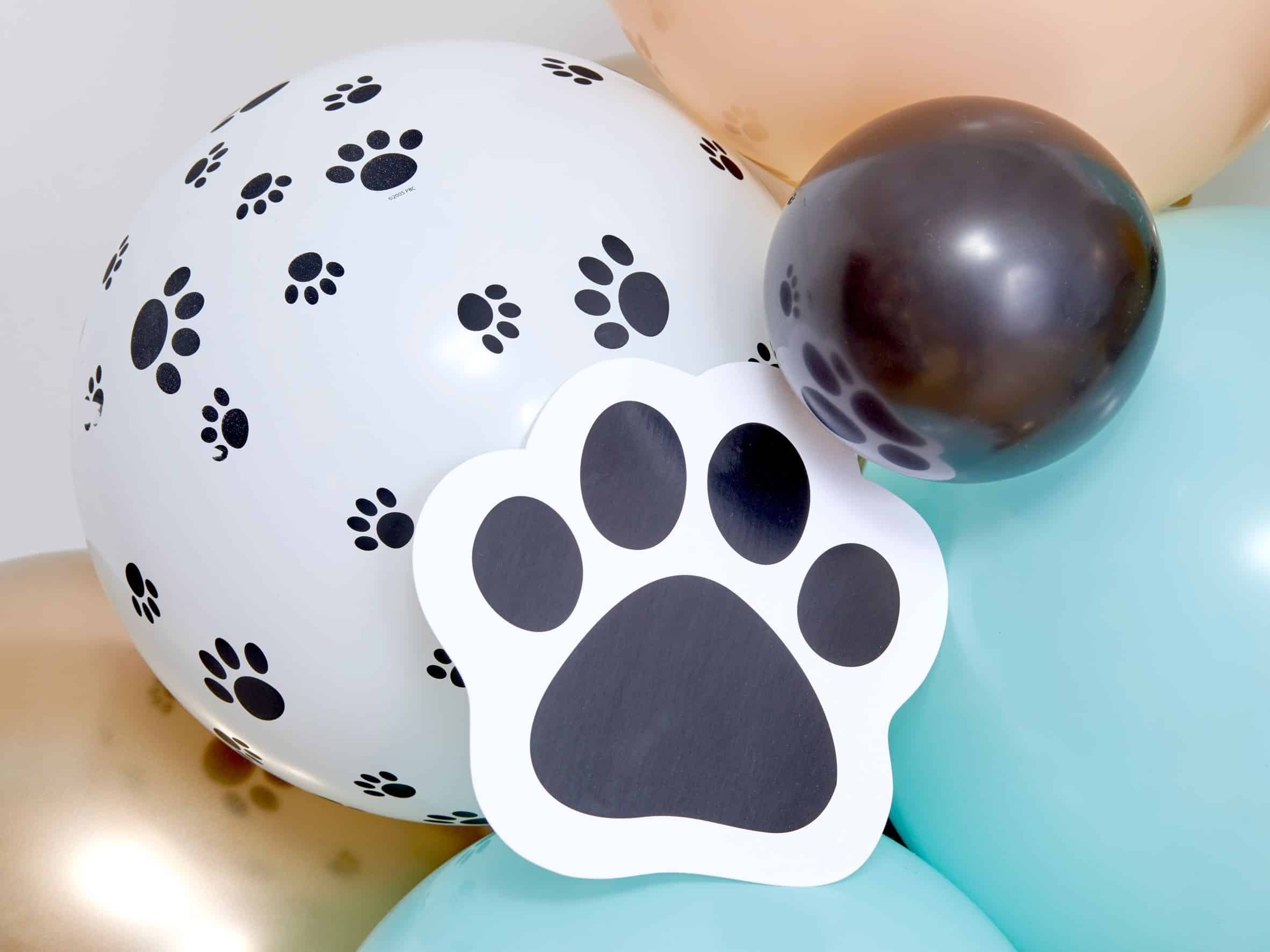 Dog's Birthday Balloon Arch Dog's Birthday Balloon Arch