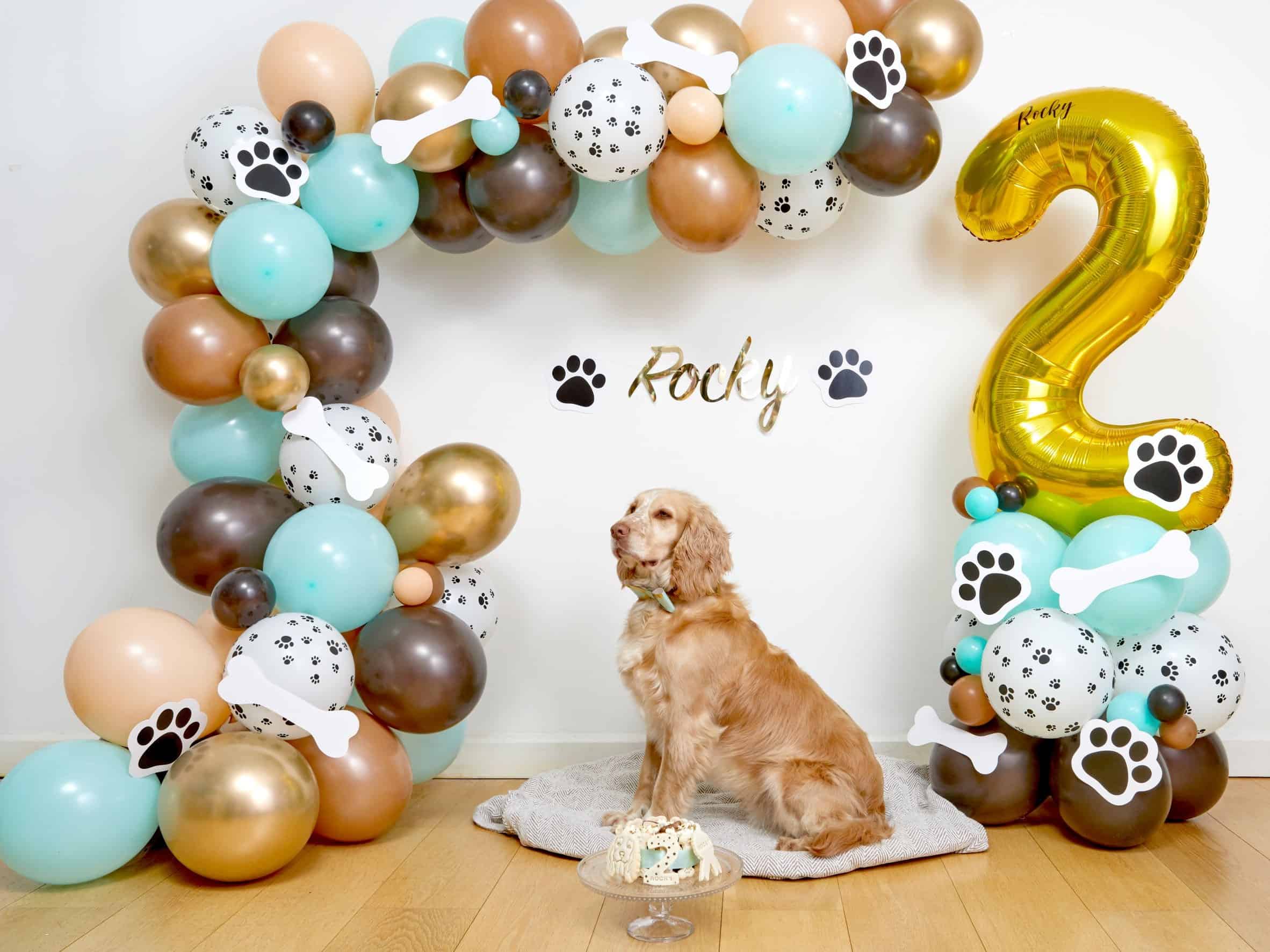 Dog Balloon Sculpture Dog Balloon Garland