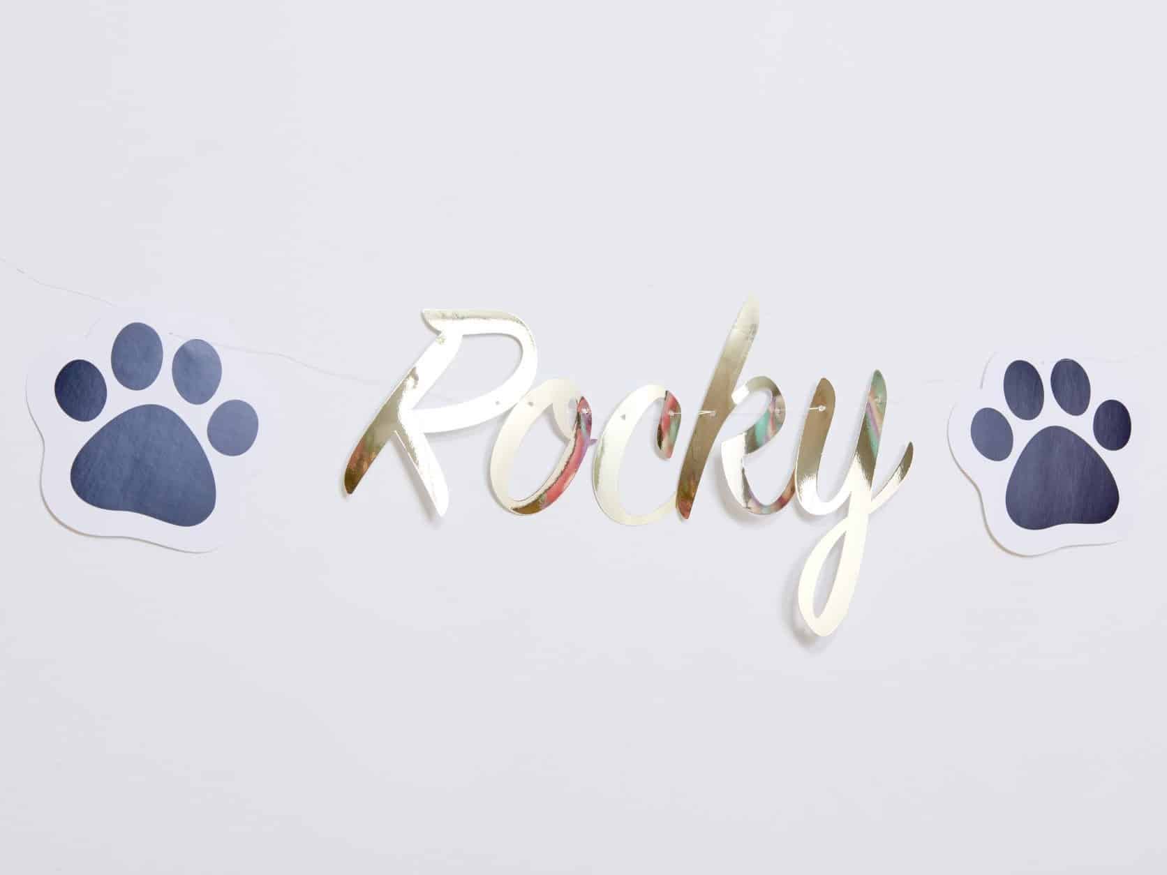 623f38d457b2cc75162a179f.jpg Rocky Personalised Banner