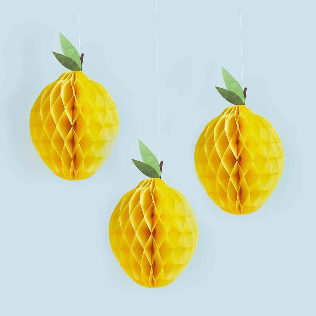 HoneyComb Lemon Party Decoration