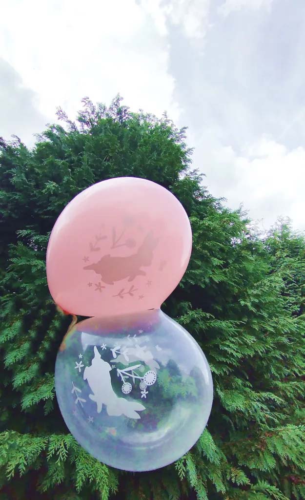 Peter Rabbit Balloons Peter Rabbit Balloons