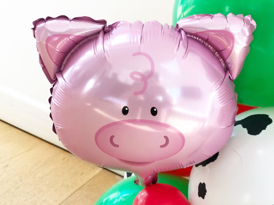 DIY Green Farm Balloon Sculpture