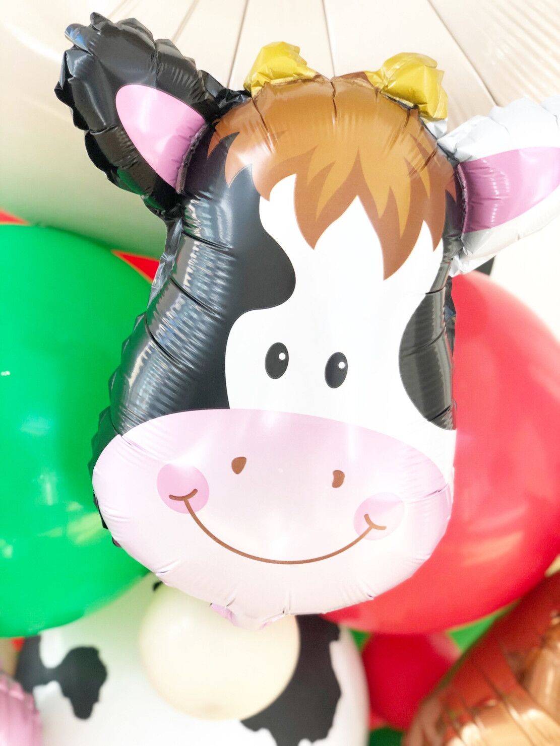 DIY Green Farm Balloon Sculpture