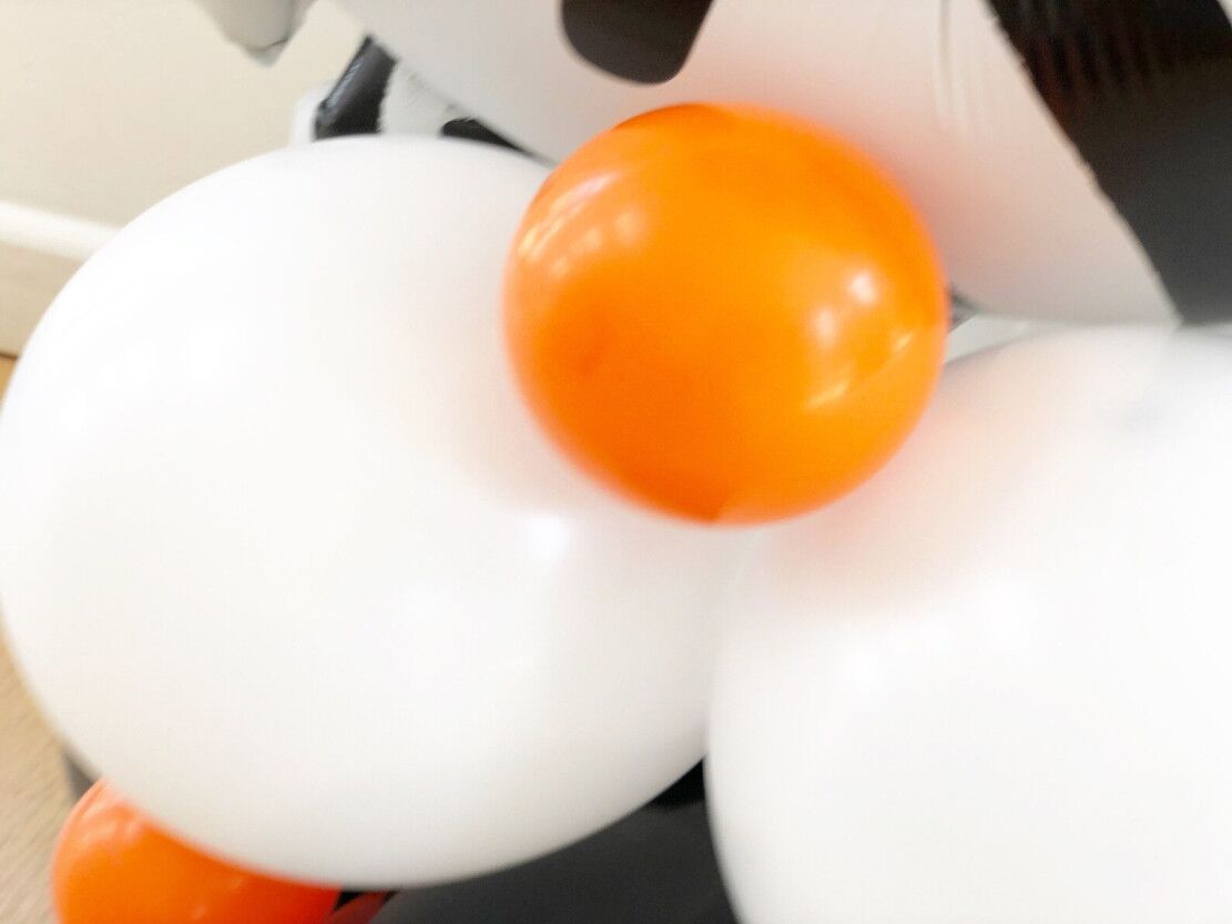 DIY 5th Birthday Zebra Balloon Sculpture