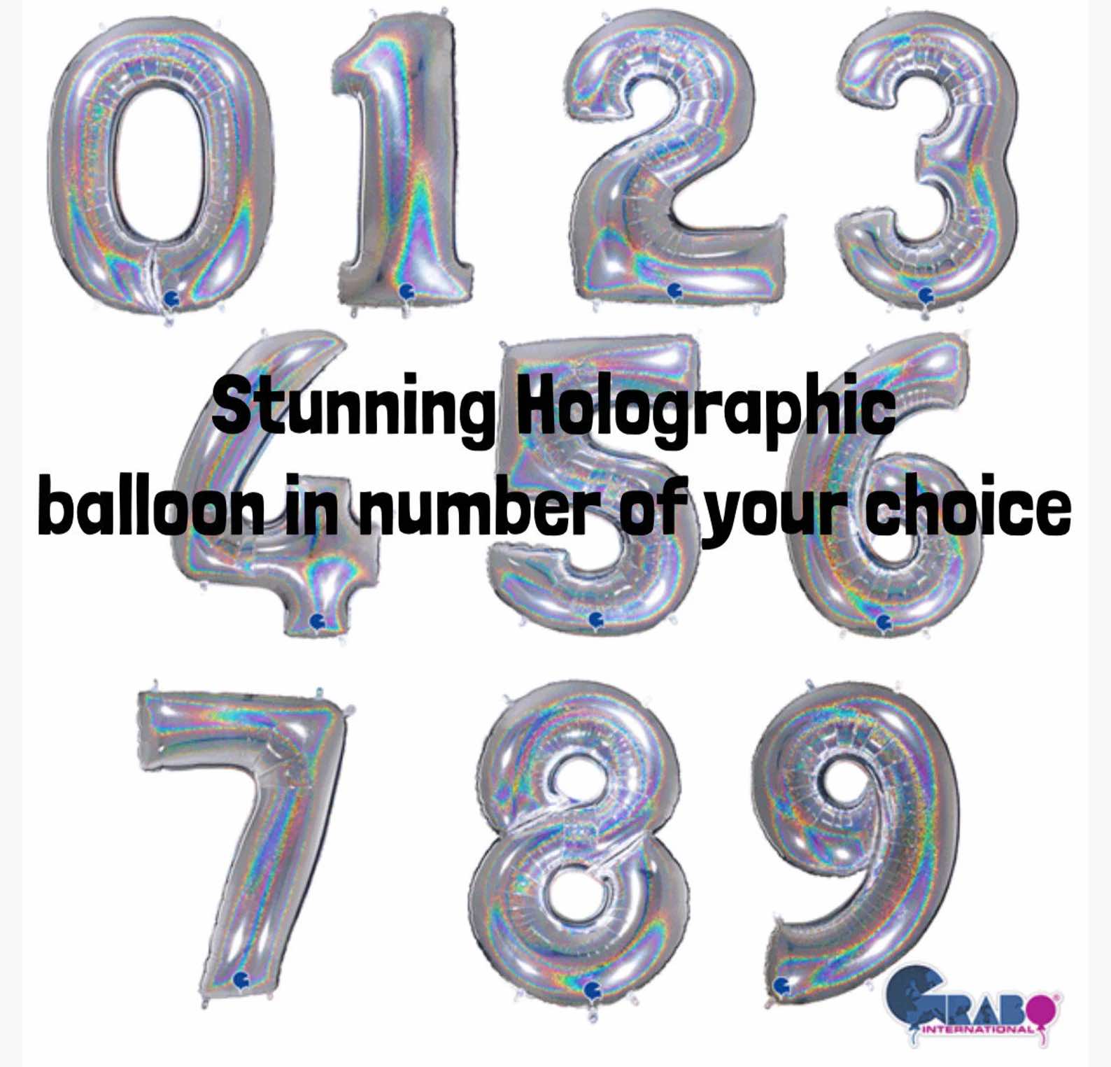 Under The Sea Dolphin Balloon Sculpture