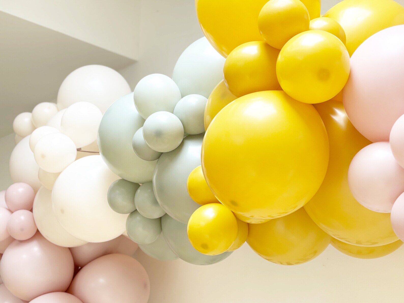 Daisy Balloon Arch