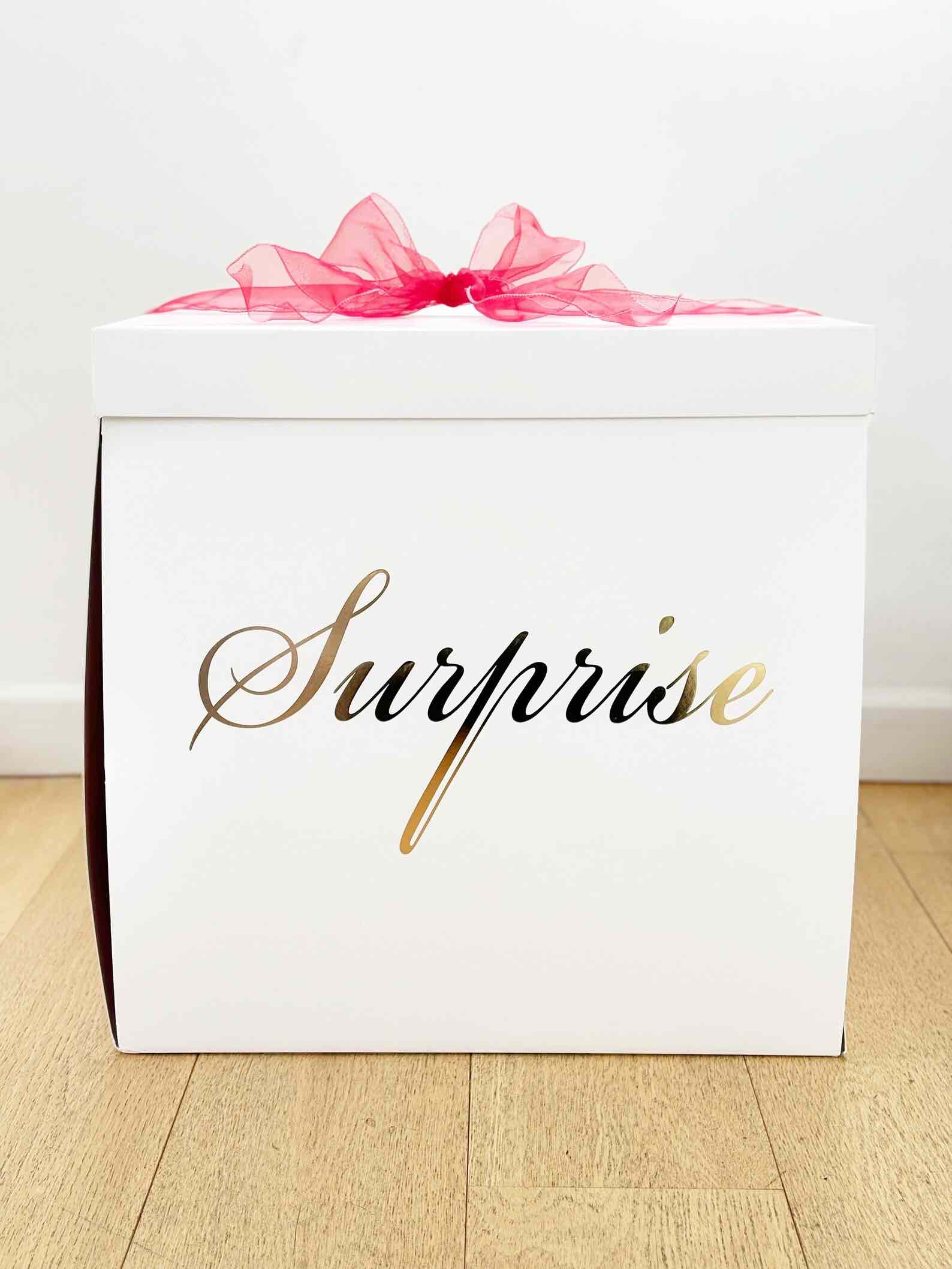 DIY Giant Surprise Box 'We are going to Disney'