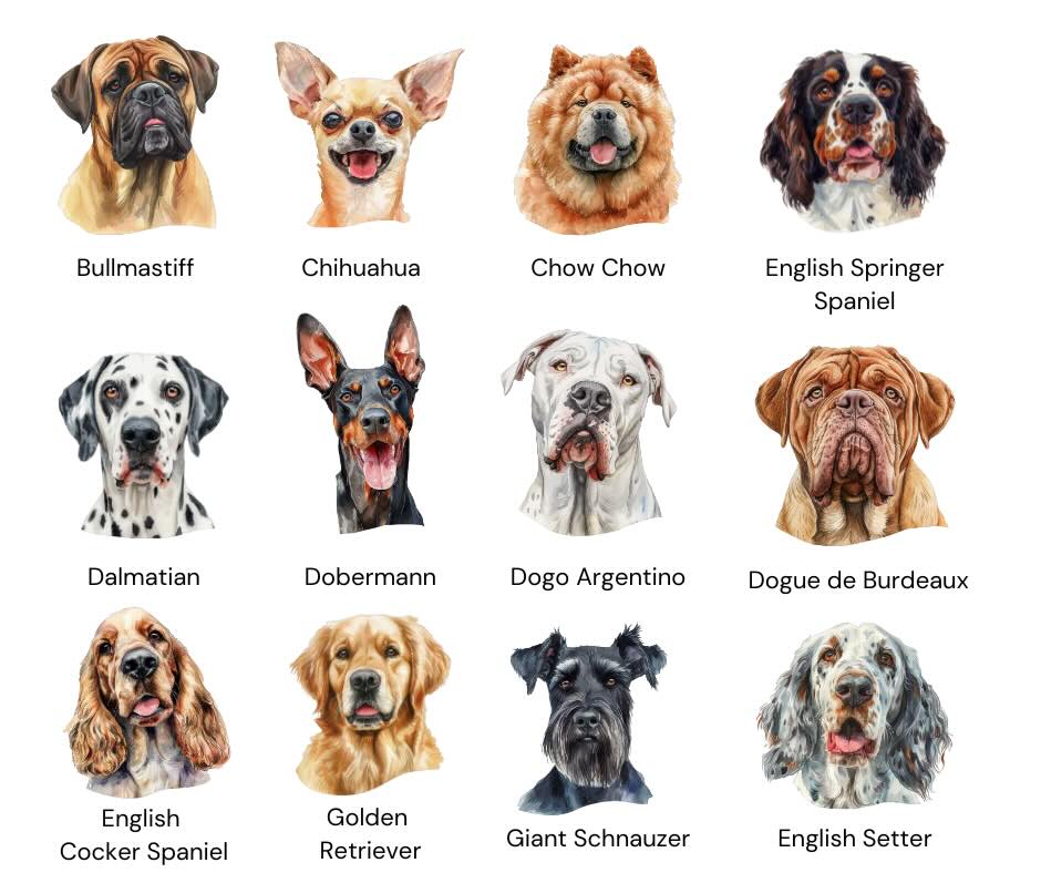 Dog Breeds Balloon Sculpture