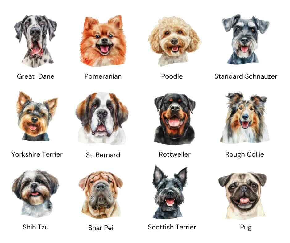 Dog Breeds Balloon Sculpture