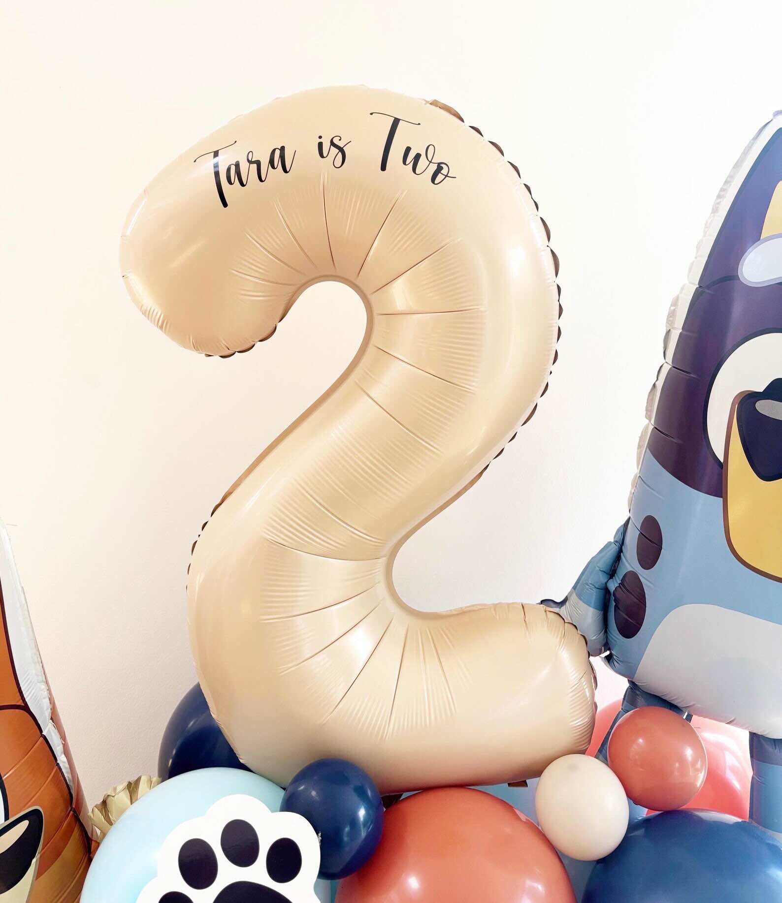 Bluey/Bingo Balloon Sculpture