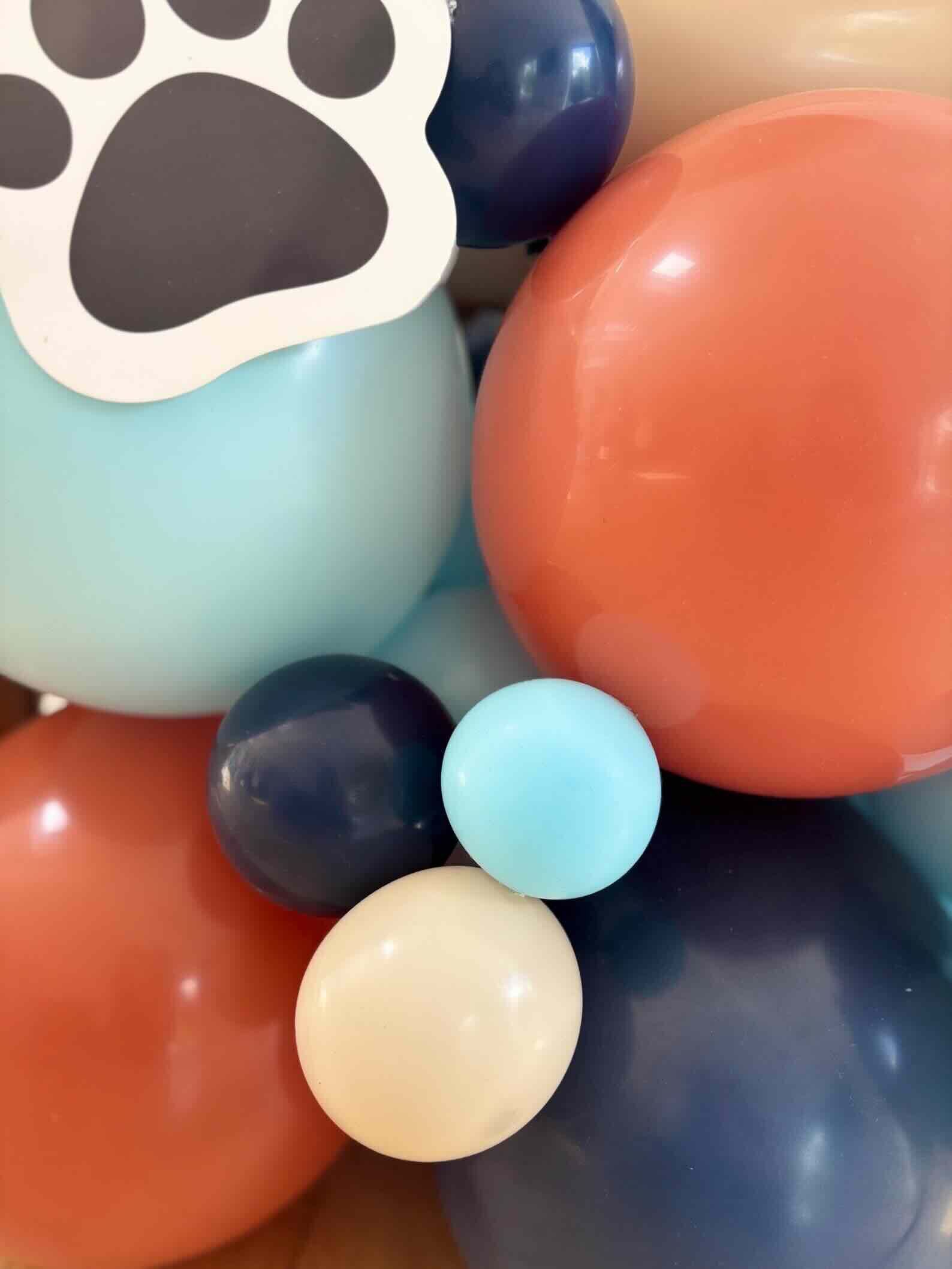 Bluey/Bingo Balloon Sculpture