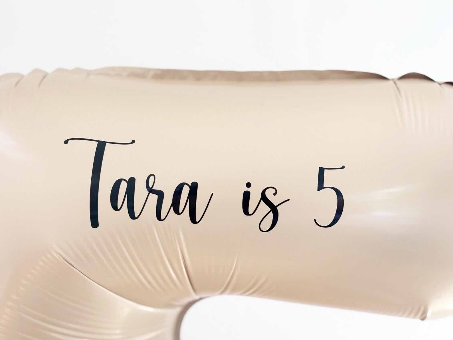 Bluey/Bingo Balloon Sculpture