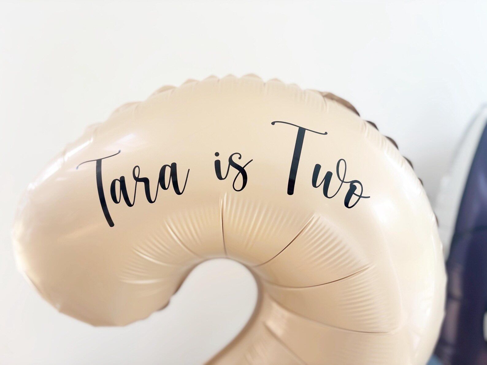 Bluey/Bingo Balloon Sculpture