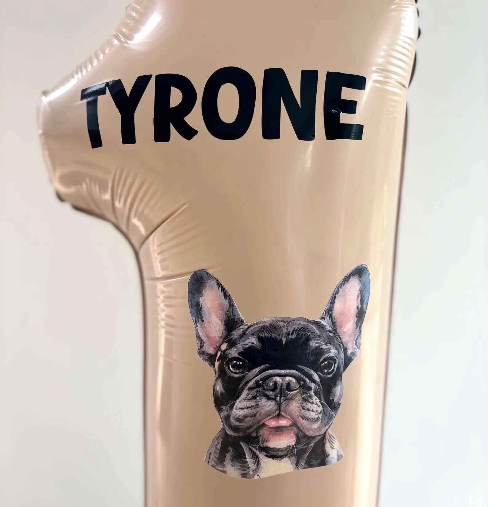 Dog Breeds Balloon Sculpture