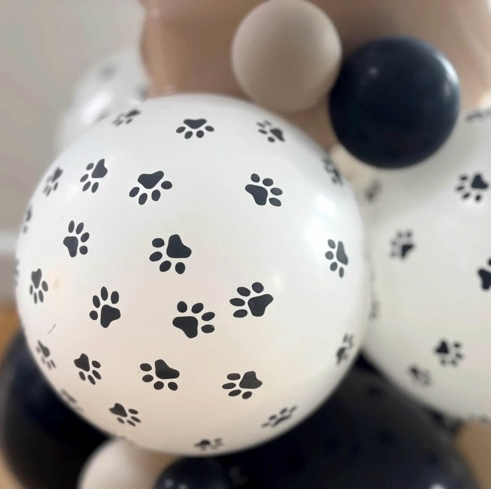 Dog Breeds Balloon Sculpture