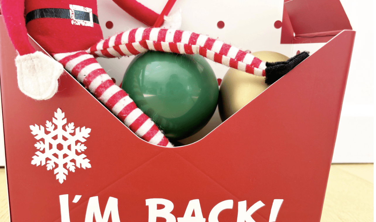 Elf Arrival Envelope Set