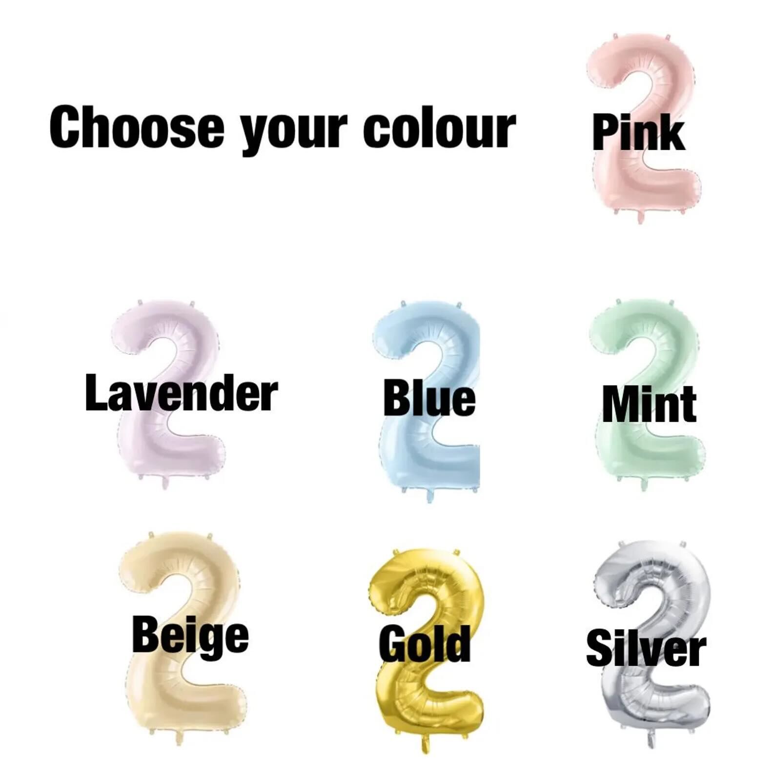 Personalised Uninflated Capybara Balloon