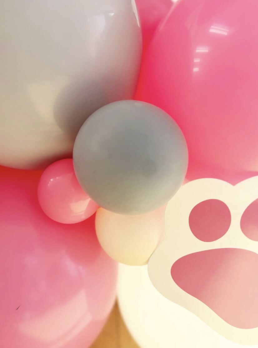 DIY Cat Balloon Sculpture