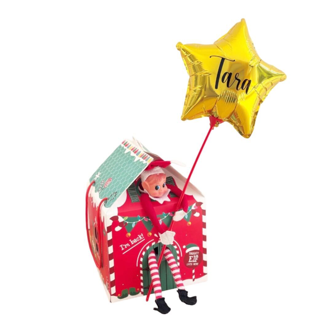 Elf Arrival House Set